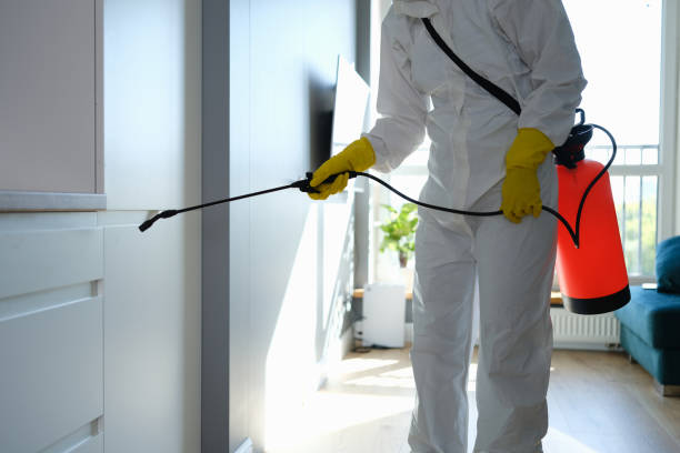 Professional Mold Removal in Bolivar, OH